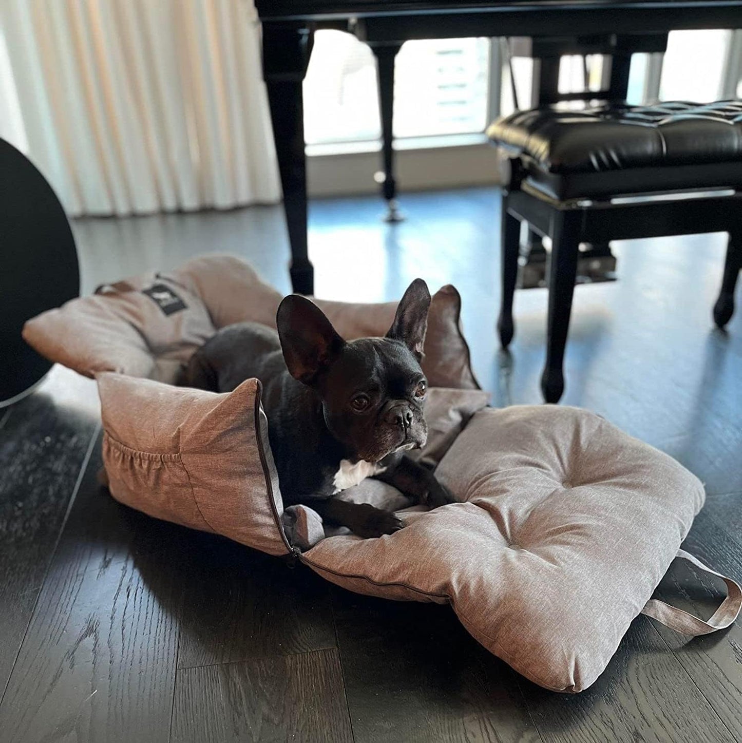 - Premium Dog Car Seat Bed for Small & Medium Dogs up to 25Lbs, Soft Travel Bed & Carrier Bag for Pets, Puppies, Cats Front or Back Seat, Machine Washable & Water Resistant (Black (1-25Lbs)
