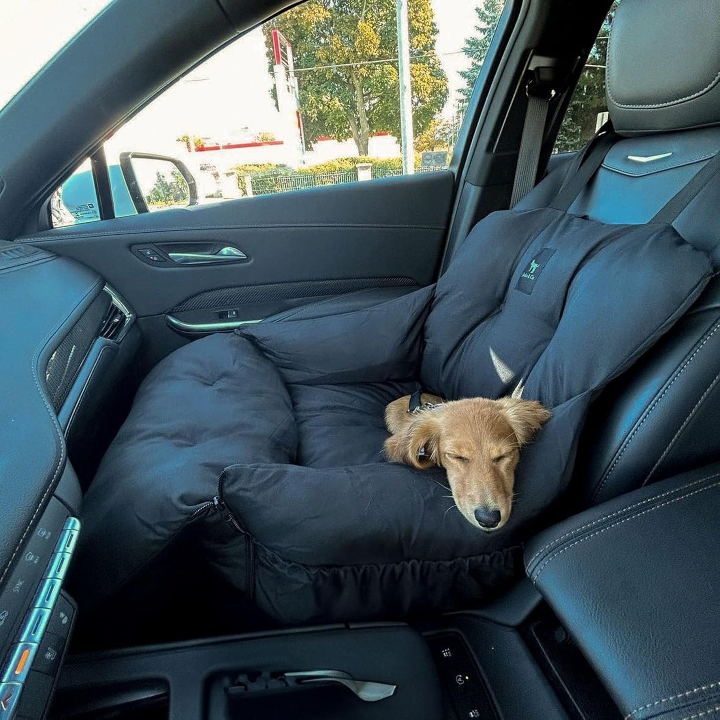- Premium Dog Car Seat Bed for Small & Medium Dogs up to 25Lbs, Soft Travel Bed & Carrier Bag for Pets, Puppies, Cats Front or Back Seat, Machine Washable & Water Resistant (Black (1-25Lbs)